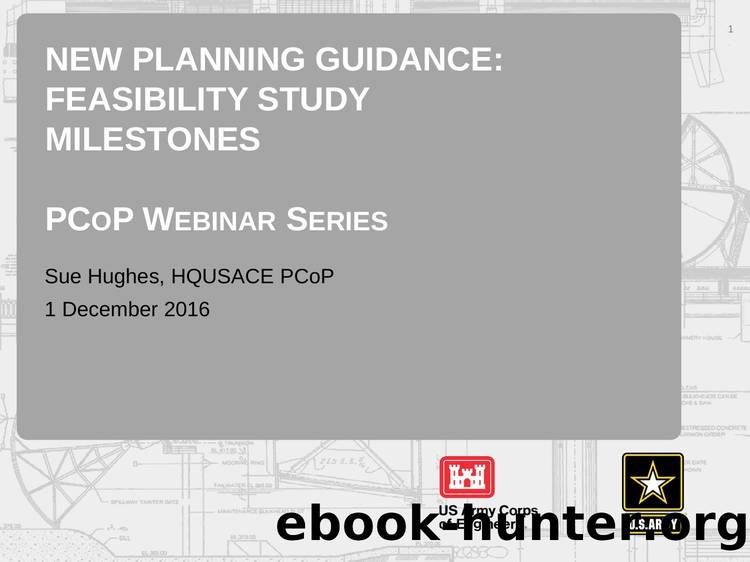 New Planning Guidance Feasibility Study Milestones by Unknown