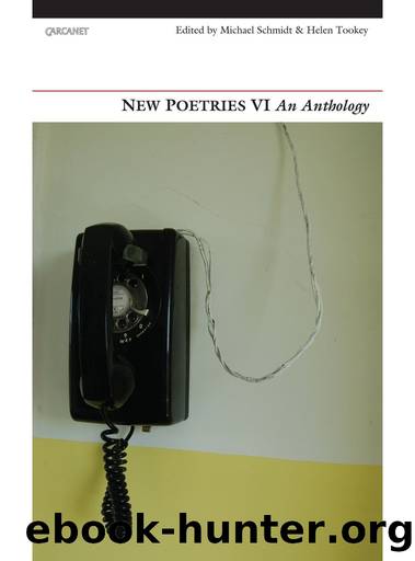 New Poetries VI: An Anthology by Michael Schmidt & Helen Tookey