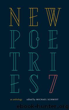 New Poetries VII by Michael Schmidt