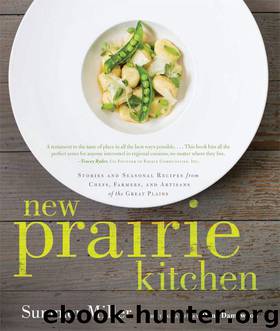 New Prairie Kitchen by Miller Summer