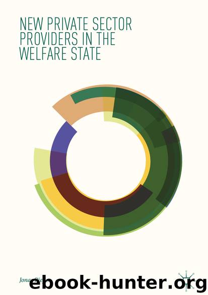New Private Sector Providers in the Welfare State by Jonas Pieper