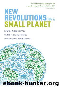 New Revolutions for a Small Planet by Kingsley Dennis