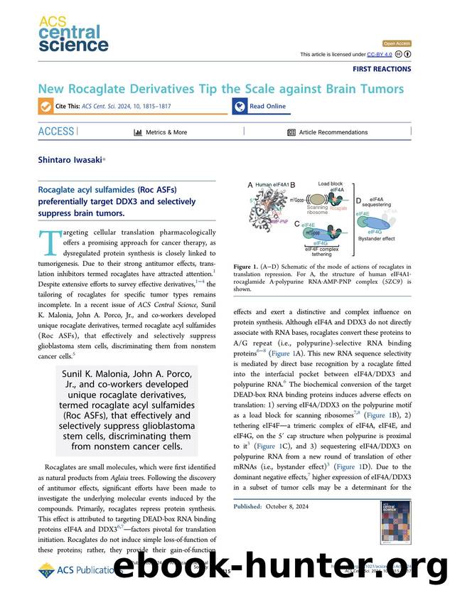 New Rocaglate Derivatives Tip the Scale against Brain Tumors by Shintaro Iwasaki (ORCID: g/0000-0001-7724-3754)
