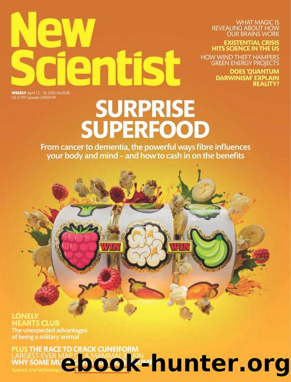 New Scientist, no. 3538 (April 12, 2025) by Unknown