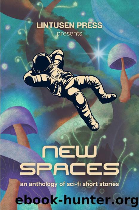 New Spaces by Lintusen Press