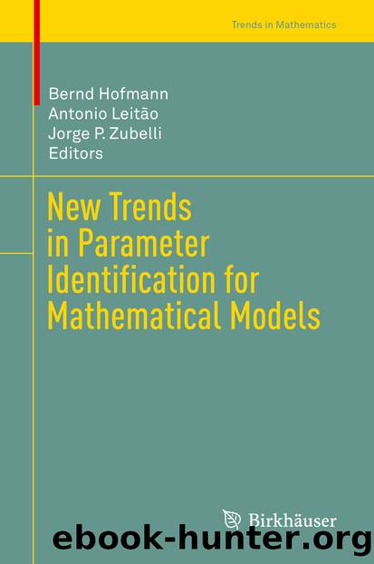 New Trends in Parameter Identification for Mathematical Models by Bernd Hofmann Antonio Leitão & Jorge P. Zubelli