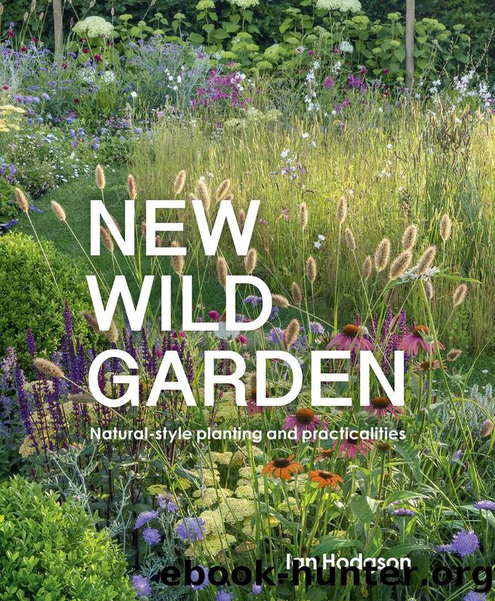 New Wild Garden by Ian Hodgson
