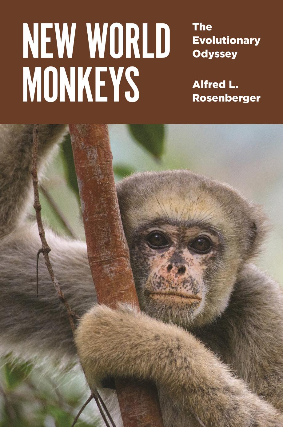 New World Monkeys by Alfred L. Rosenberger