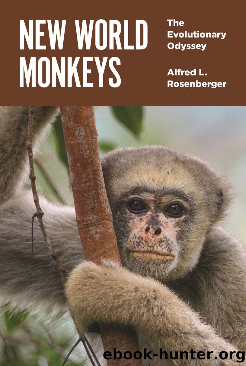 New World Monkeys by Rosenberger Alfred L.;