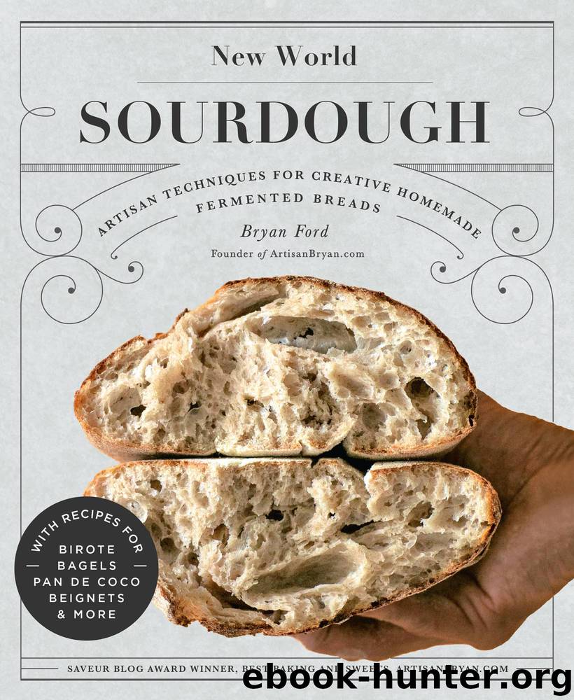 New World Sourdough by Bryan Ford