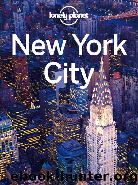 New York City City Guide by Lonely Planet