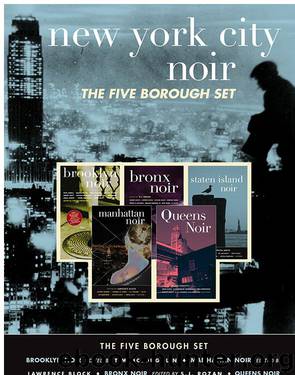 New York City Noir by Tim McLoughlin