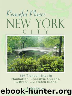 New York City by Evelyn Kanter