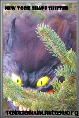 New York Shape Shifter by Scott William Pattison