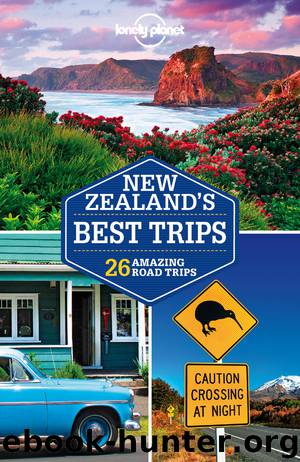 New Zealand's Best Trips by Lonely Planet