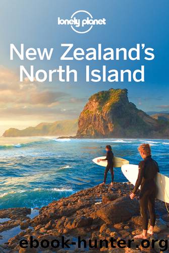 New Zealand's North Island Travel Guide by Lonely Planet