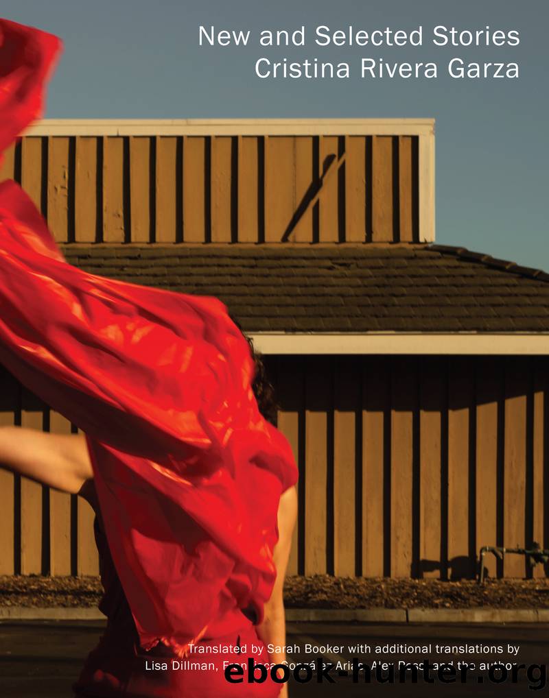 New and Selected Stories by Cristina Rivera Garza