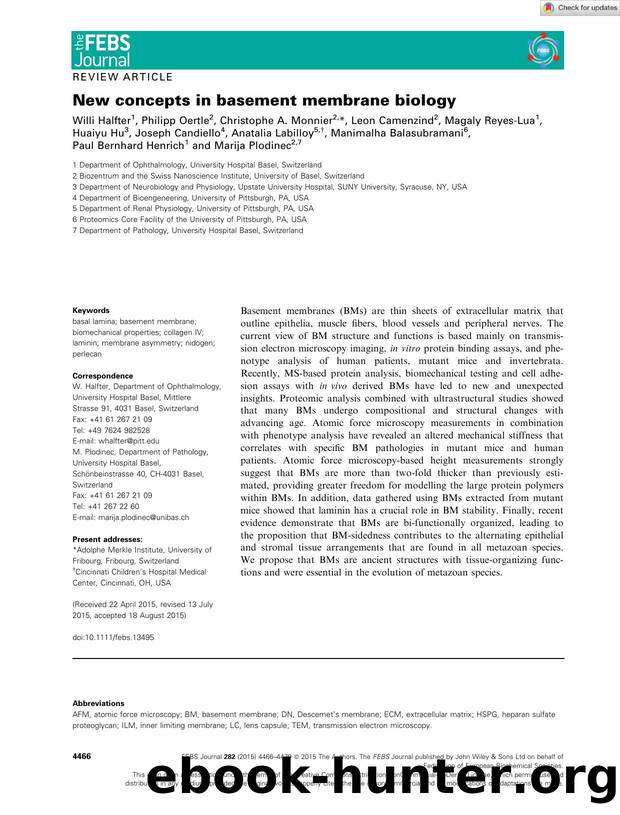 New concepts in basement membrane biology by Unknown