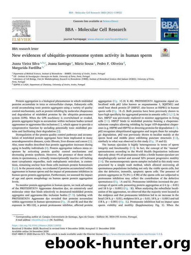 New evidences of ubiquitinâproteasome system activity in human sperm by Joana Vieira Silva & Joana Santiago & Mário Sousa & Pedro F. Oliveira & Margarida Fardilha