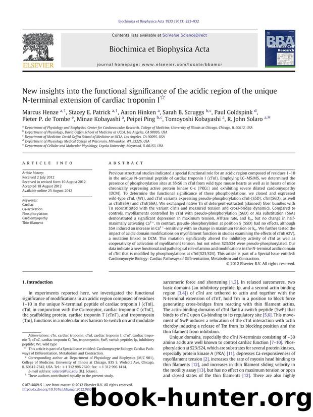 New insights into the functional significance of the acidic region of the unique N-terminal extension of cardiac troponin I by unknow