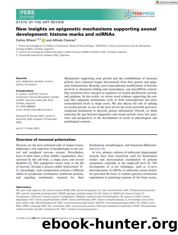 New insights on epigenetic mechanisms supporting axonal development: histone marks and miRNAs by Unknown