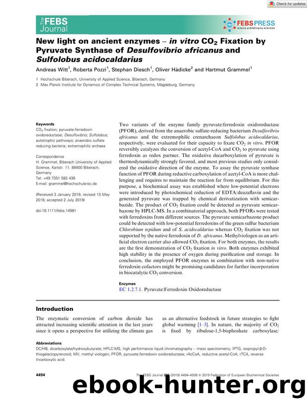 New light on ancient enzymes â inÂ vitro CO2 Fixation by Pyruvate Synthase of Desulfovibrio africanus and Sulfolobus acidocaldarius by Unknown