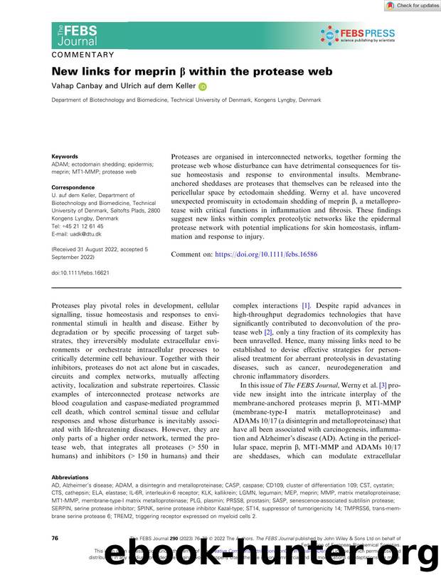 New links for meprin Î² within the protease web by Unknown