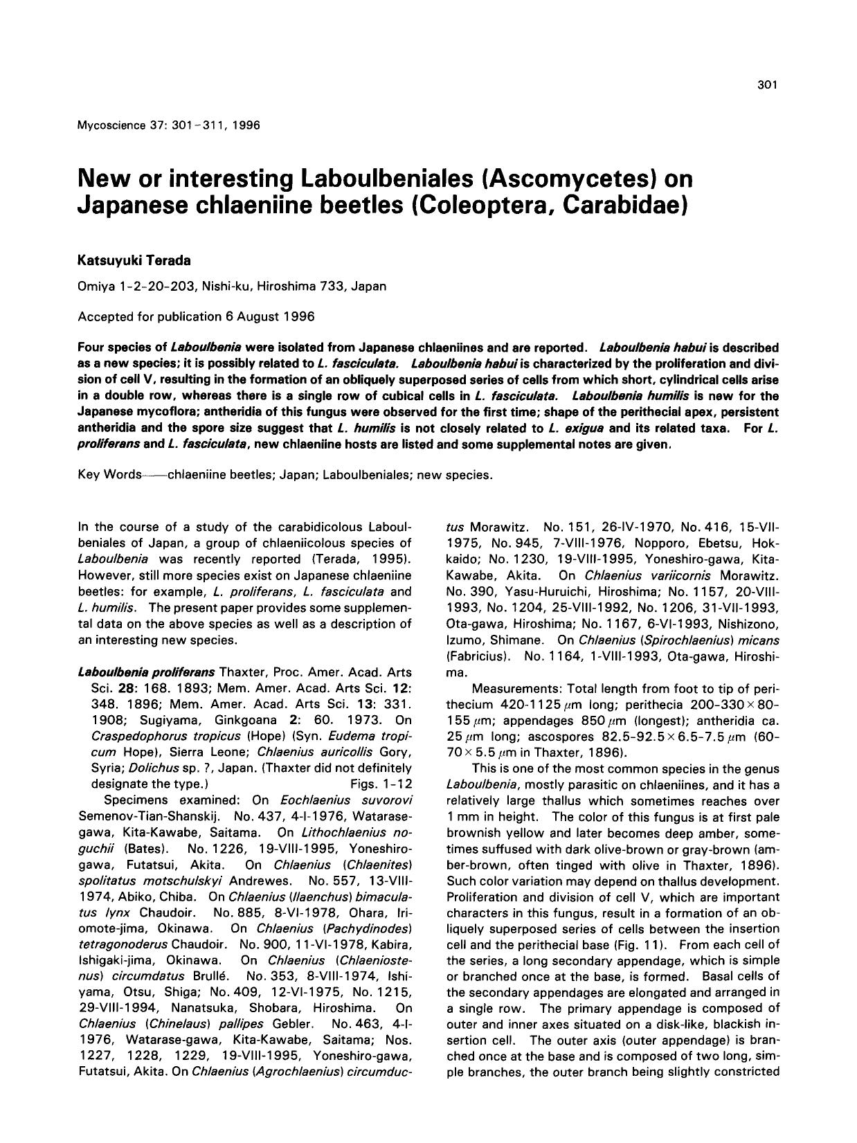 New or interesting Laboulbeniales (Ascomycetes) on Japanese chlaeniine beetles (Coleoptera, Carabidae) by Unknown