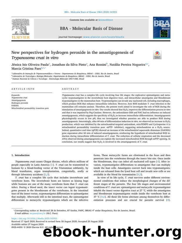 New perspectives for hydrogen peroxide in the amastigogenesis of Trypanosoma cruzi in vitro by unknow