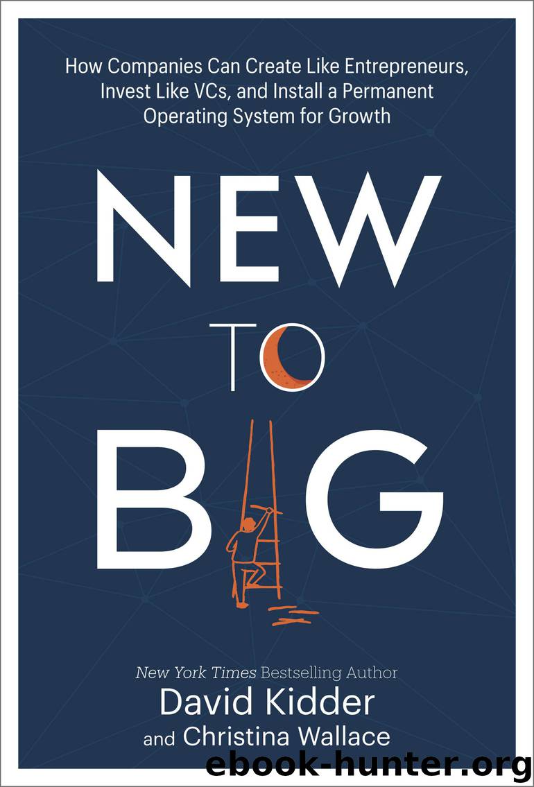 New to Big by David Kidder & Christina Wallace