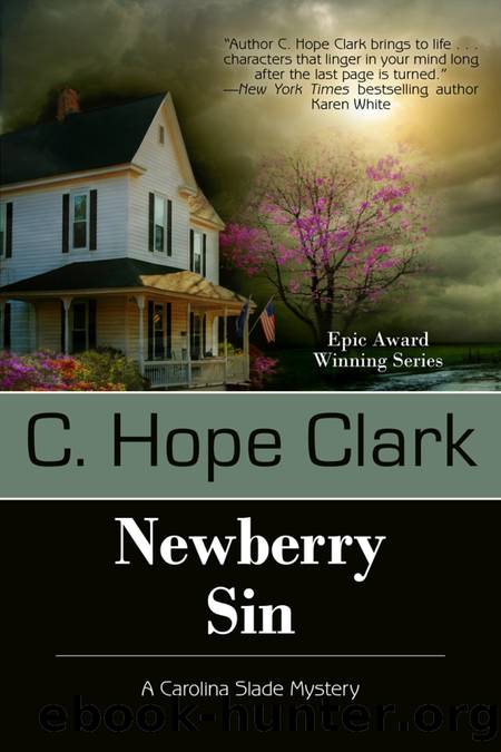 Newberry Sin by C. Hope Clark