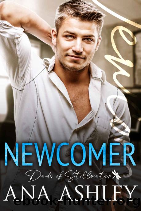 Newcomer: Dads of Stillwater by Ashley Ana
