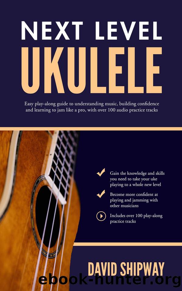 Next Level Ukulele by David Shipway