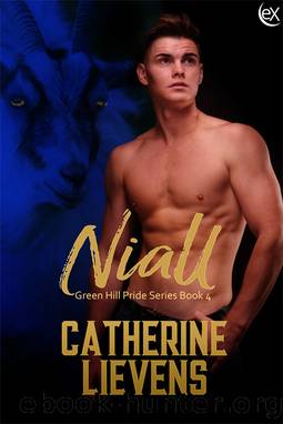 Niall by Catherine Lievens
