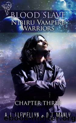 Nibiru Vampire Warriors - Chapter Three by A.J. Lllewellyn & D.J. Manly