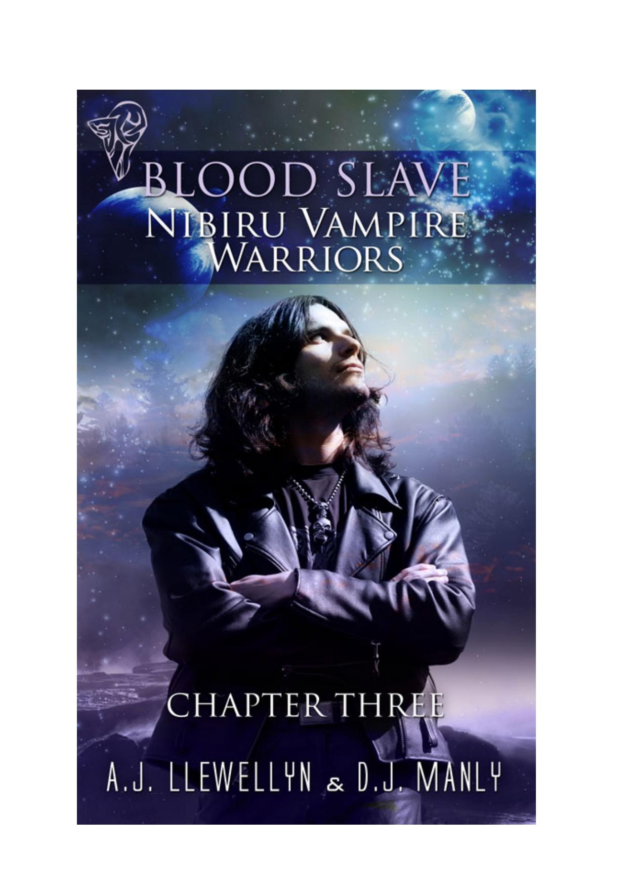 Nibiru Vampire Warriors - Chapter Three by A.J. Lllewellyn and D.J. Manly