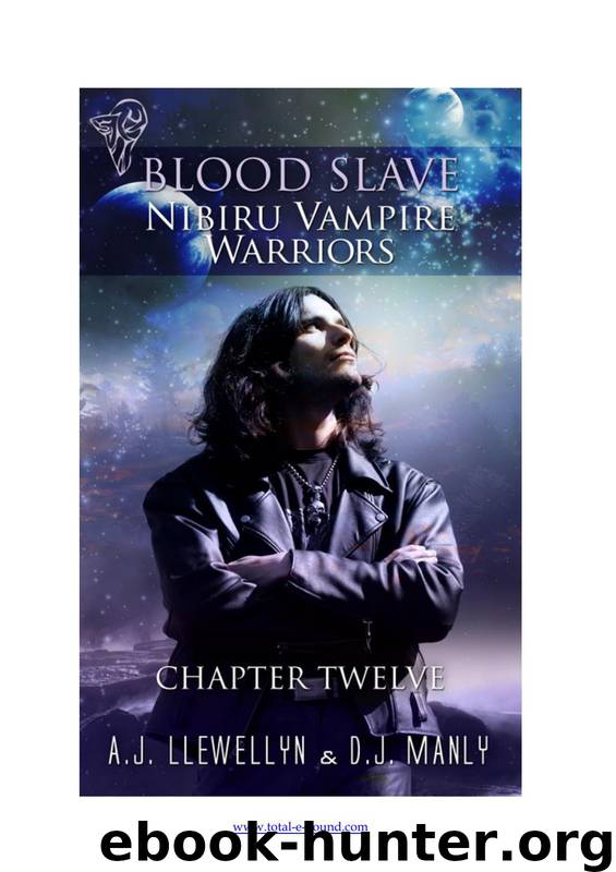 Nibiru Vampire Warriors - Chapter Twelve by A.J. Llewellyn & D.J. Manly