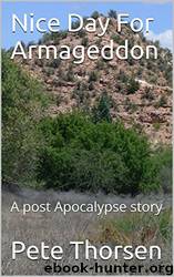 Nice Day for Armageddon: A Post Apocalypse Story by Pete Thorsen