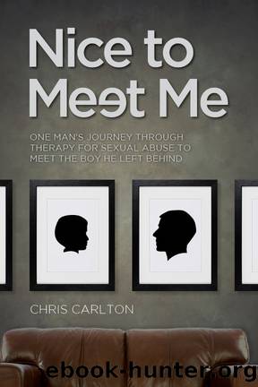 Nice To Meet Me by C.K. Carlton