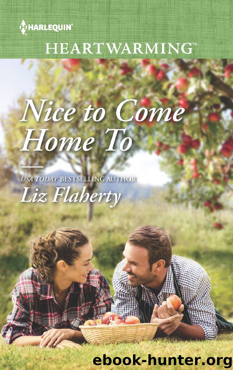 Nice to Come Home To by Liz Flaherty