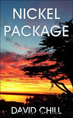 Nickel Package (Burnside Series Book 6) by David Chill