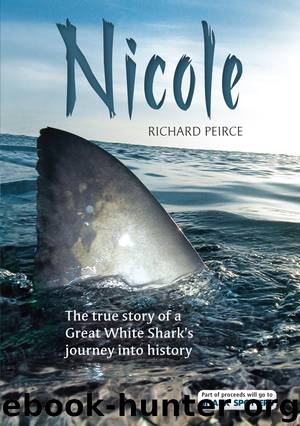 Nicole by Richard Peirce
