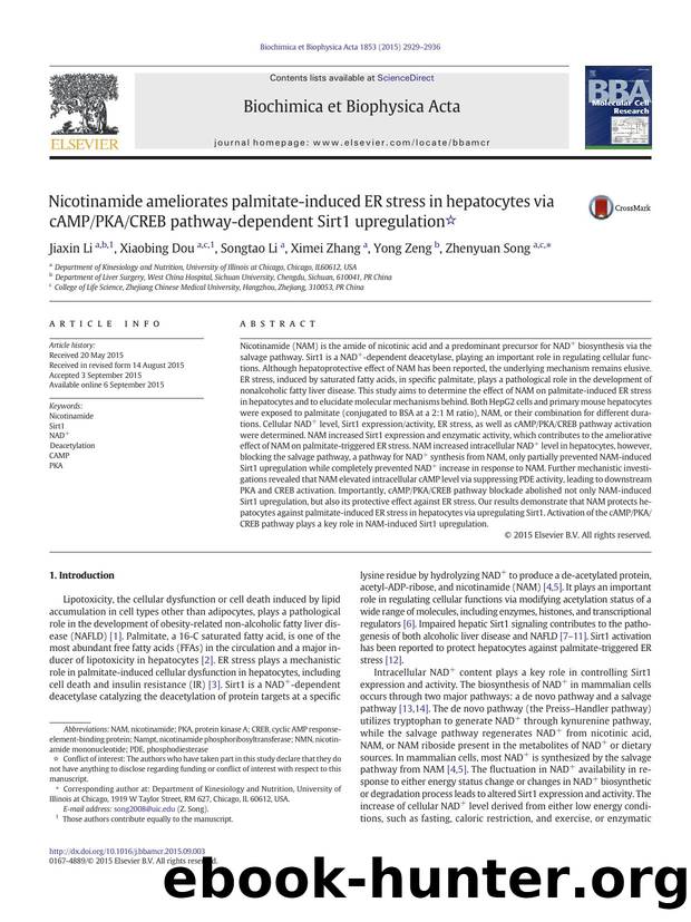Nicotinamide ameliorates palmitate-induced ER stress in hepatocytes via cAMPPKACREB pathway-dependent Sirt1 upregulation by Jiaxin Li & Xiaobing Dou & Songtao Li & Ximei Zhang & Yong Zeng & Zhenyuan Song