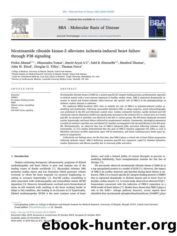 Nicotinamide riboside kinase-2 alleviates ischemia-induced heart failure through P38 signaling by unknow