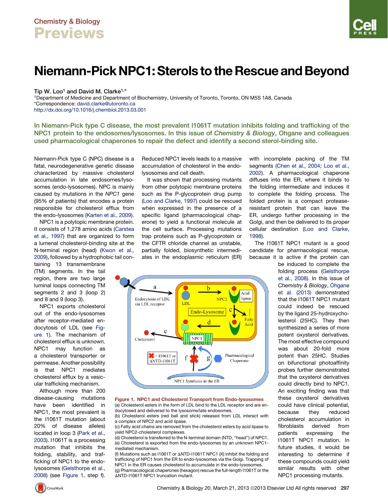 Niemann-Pick NPC1: Sterols to the Rescue and Beyond by Tip W. Loo & David M. Clarke