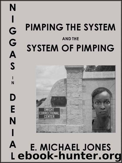 Niggas in Denial: Pimping the System and The System of Pimping by E. Michael Jones