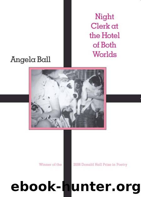 Night Clerk at the Hotel of Both Worlds by Angela Ball