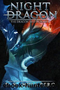 Night Dragon: An Epic Fantasy Adventure (The Dragon Misfits Book 6) by D.K. Holmberg