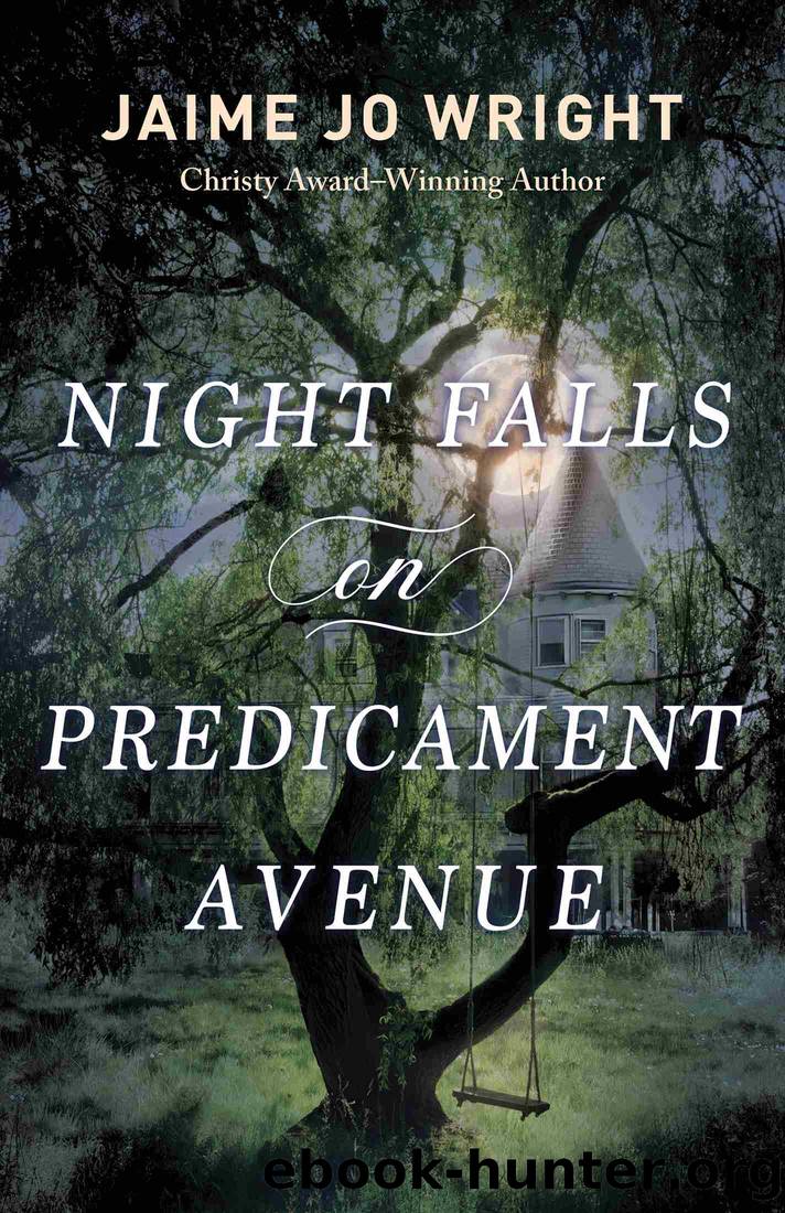 Night Falls on Predicament Avenue by Jaime Jo Wright