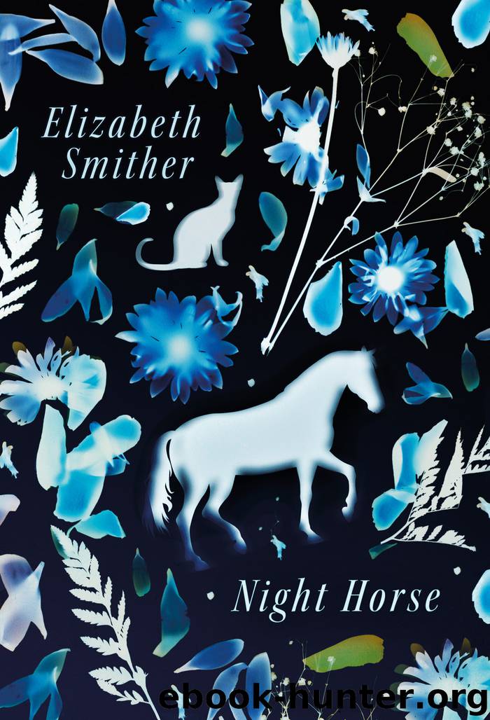 Night Horse by Elizabeth Smither